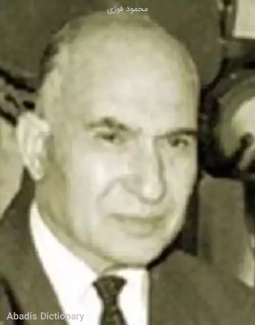 محمود فوزی